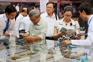 Bất động sản phía Nam: Nhiều kế hoạch cho năm mới